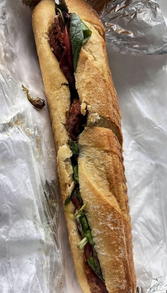 Boston Panini